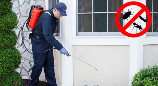 Kemeraltı Bit İlaçlama böcek ilaçlama ve haşere kontrolü — ilaclama-tr.com
